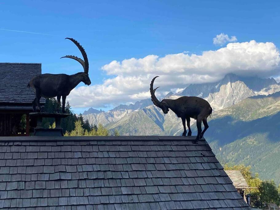 Praz Sur Arly - Proche Des Pistes Et De Megeve 아파트 외부 사진