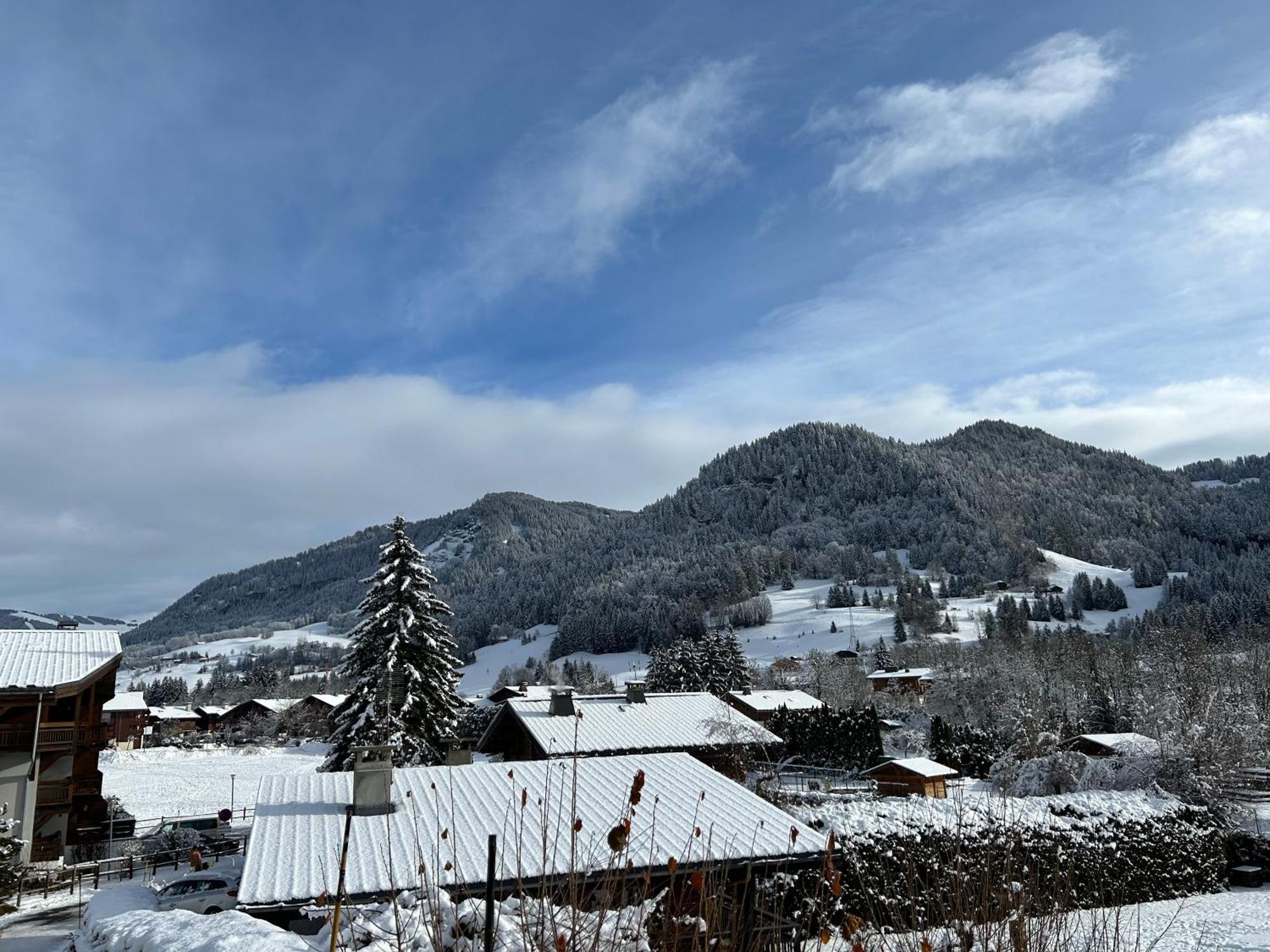 Praz Sur Arly - Proche Des Pistes Et De Megeve 아파트 외부 사진
